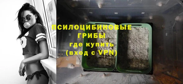 ГАЛЛЮЦИНОГЕННЫЕ ГРИБЫ Горно-Алтайск