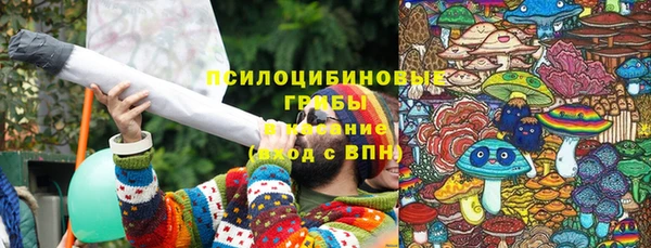 ГАЛЛЮЦИНОГЕННЫЕ ГРИБЫ Горно-Алтайск