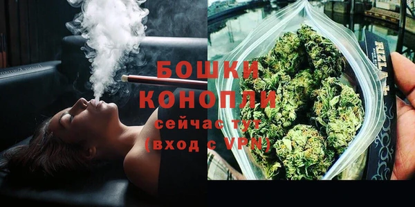 ГАЛЛЮЦИНОГЕННЫЕ ГРИБЫ Горно-Алтайск