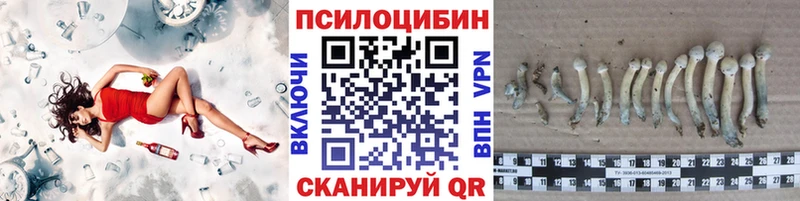 Псилоцибиновые грибы Psilocybine cubensis  Купить закладки  Камень-на-Оби 